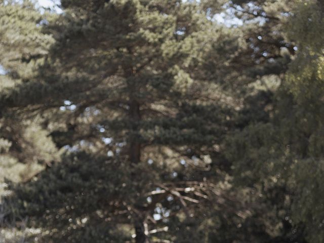 Tom and Lauren's Wedding in Brockenhurst, Hampshire 40