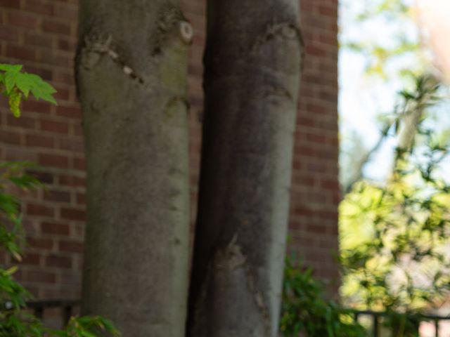 Greg and Caitlin's Wedding in London - South East, South East London 96