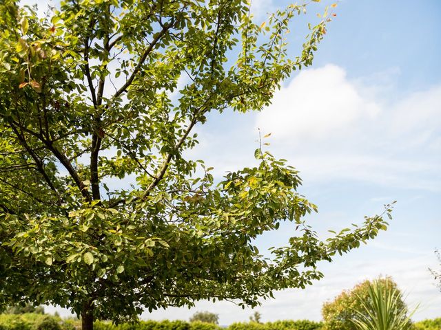 Martin and Kirsty&apos;s Wedding in Headley Down, Hampshire 267