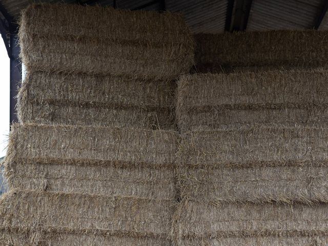 Aaron and Becky's Wedding in Bicester, Oxfordshire 27