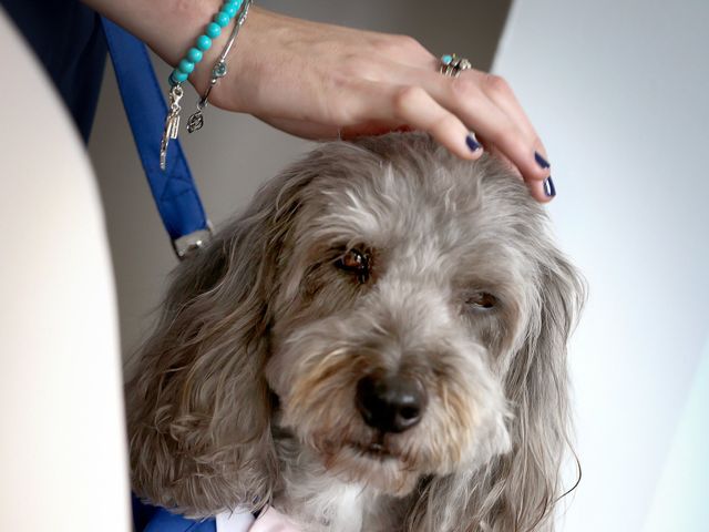 John and Helena's Wedding in Meltham, West Yorkshire 8