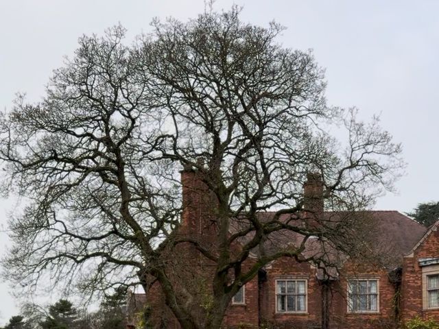 Nick and Amy's Wedding in Sutton Coldfield, West Midlands 4
