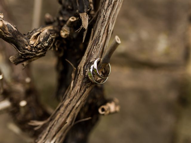 Charl and Ben's Wedding in Wolverhampton, West Midlands 14