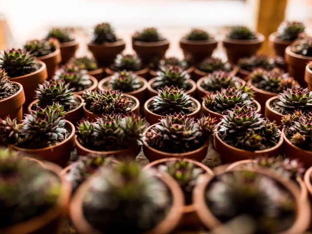 Charl and Ben's Wedding in Wolverhampton, West Midlands 17