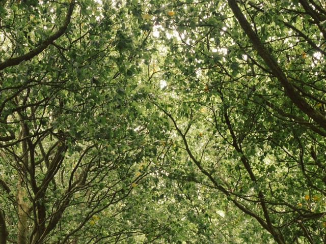 Paul and Christina's Wedding in Yeovil, Somerset 3