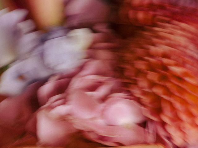 Paul and Christina's Wedding in Yeovil, Somerset 11