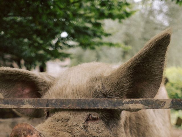 Paul and Christina's Wedding in Yeovil, Somerset 21