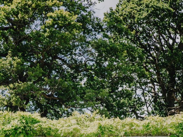 Abby and Josh&apos;s Wedding in Silchester, Hampshire 8