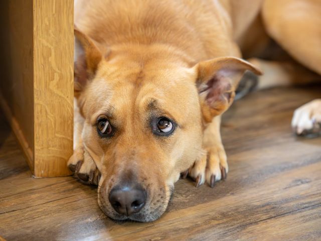 Blake and Livvy's Wedding in York, North Yorkshire 28