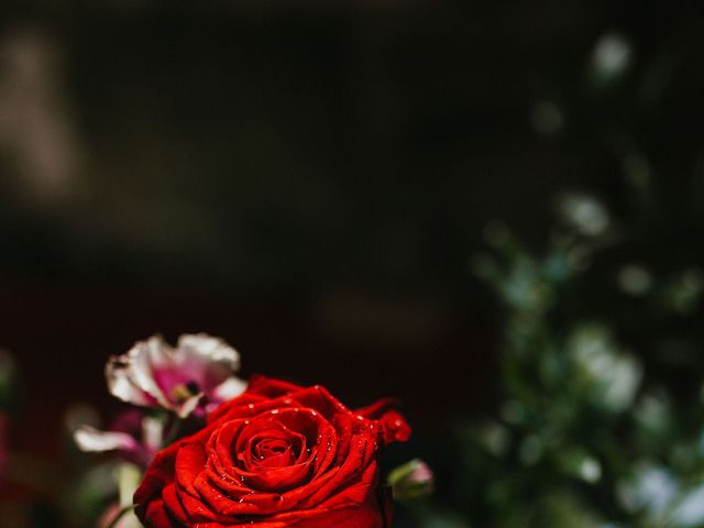 Tony and Kate's Wedding in Dunbar, Lothian &amp; Borders 7