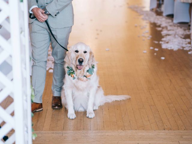 Ellis and Lydia&apos;s Wedding in Newquay, Cornwall 16