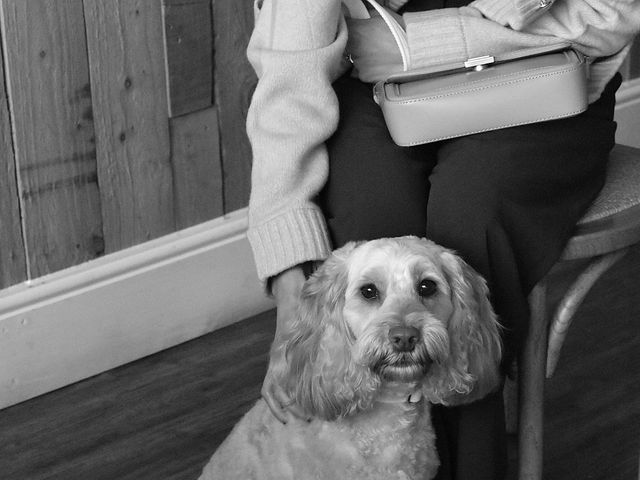 Eddie and Faye 's Wedding in South Cave, East Riding of Yorkshire 11