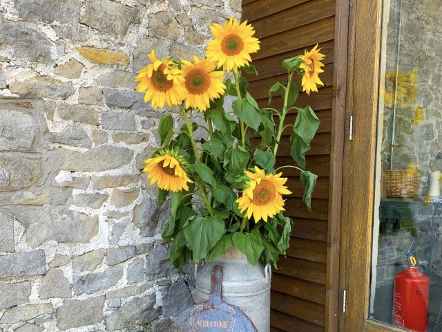 Alicia and Nick's Wedding in Llantwit Major, Vale Of Glamorgan 6