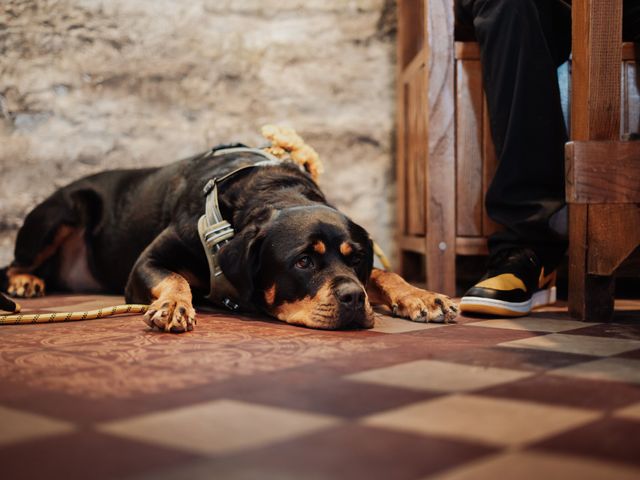 Jason and Hannah's Wedding in Caldicot, Monmouthshire 6