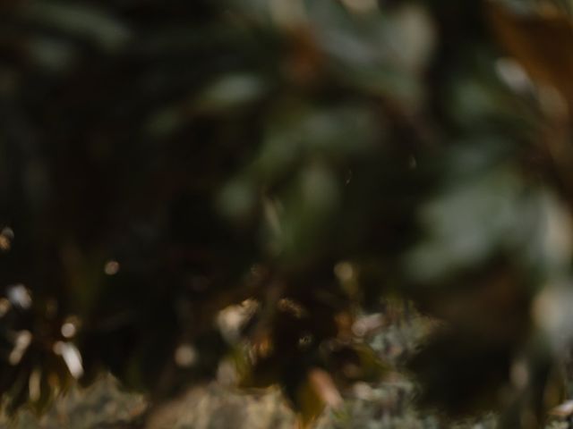 David and Brittany's Wedding in Florence, Florence 57