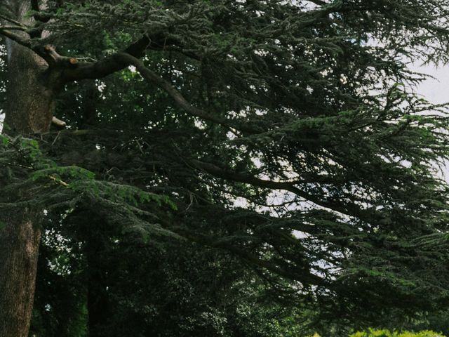 Harry and Jenna's Wedding in Twickenham, Middlesex 14