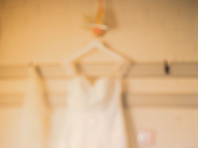 Steve and Shelley's Wedding in Bridport, Dorset 4