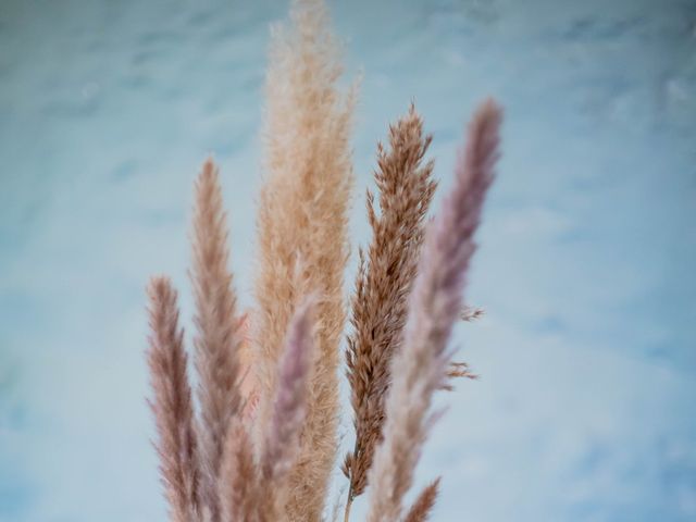 Steve and Shelley's Wedding in Bridport, Dorset 67