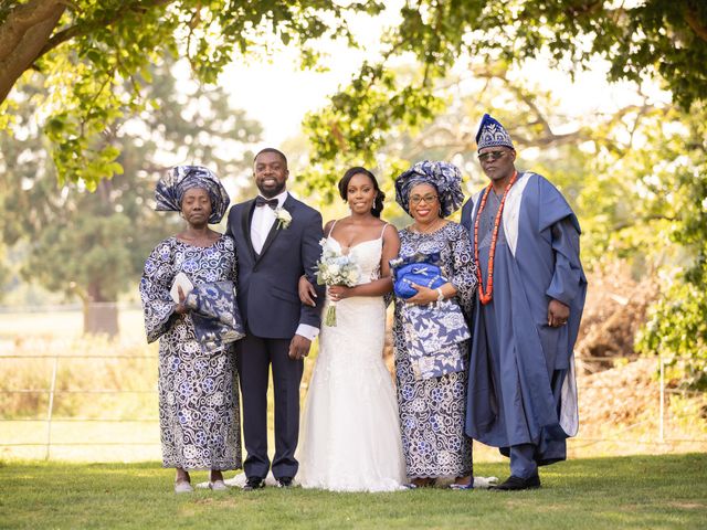 Oluseun and Toro&apos;s Wedding in Gosfield, Essex 21