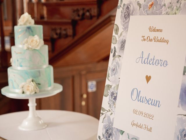 Oluseun and Toro&apos;s Wedding in Gosfield, Essex 44