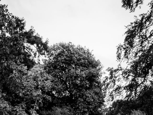 Robbie and Sophie's Wedding in Bramham, West Yorkshire 188