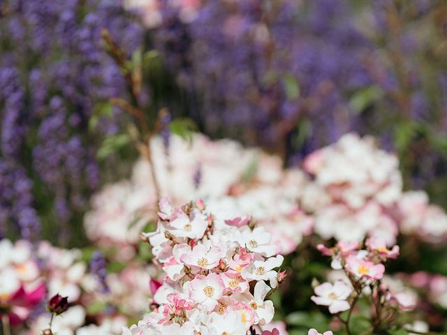 Louis and Emma's Wedding in Upwaltham, West Sussex 8