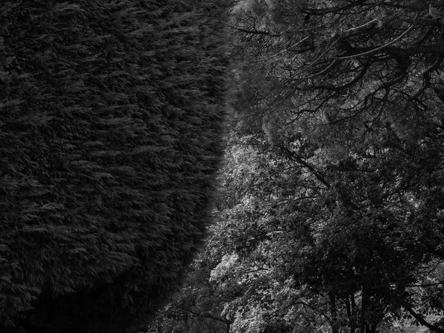 Chris and Caragh's Wedding in Epping, Essex 22