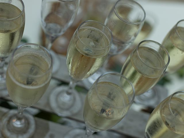 Chris and Caragh's Wedding in Epping, Essex 301