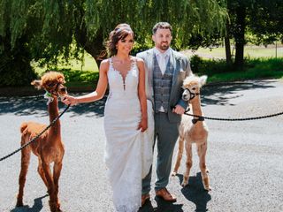 Lauren & Josh's wedding