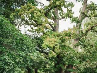 Collette &amp; Oscar's wedding 3