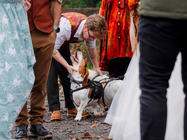 Rhodri and Bea&apos;s Wedding in Neath, Neath Port Talbot 2