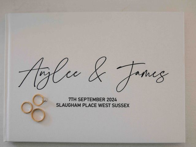 James and Anjlee&apos;s Wedding in Haywards Heath, West Sussex 154