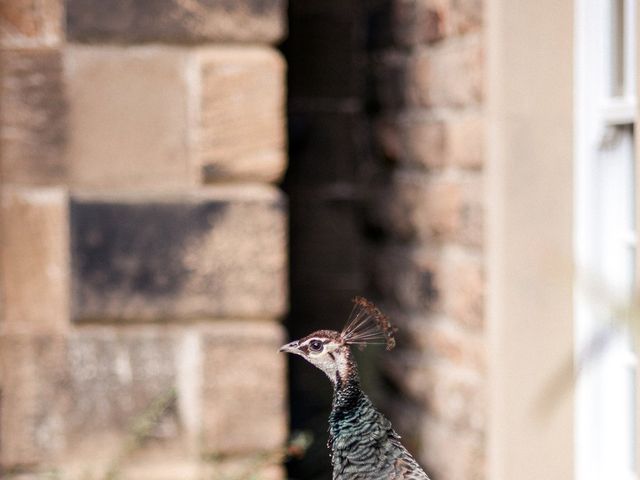 Will and Rebekah's Wedding in Sheffield, South Yorkshire 3