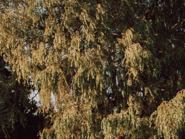 Sammie and David's Wedding in Rochford, Essex 29