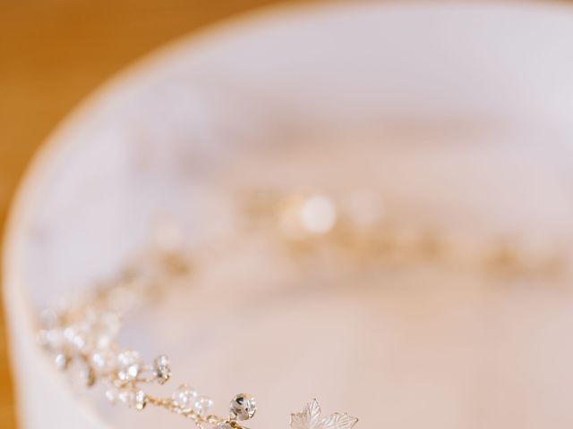Michael and Lucy's Wedding in Tamworth, Staffordshire 3
