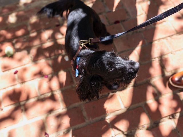 Andre and Rozanne's Wedding in Amersham, Buckinghamshire 17