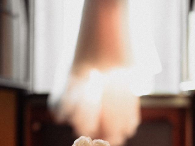 David and Susan's Wedding in Lake Como, Lake Como 4