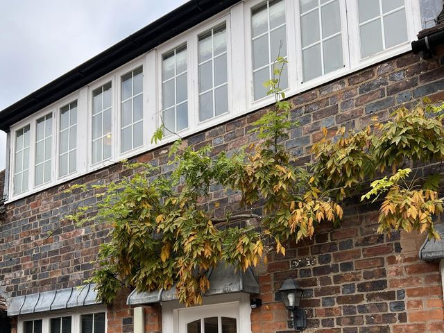 Sam and Jamie's Wedding in Birtsmorton, Worcestershire 12