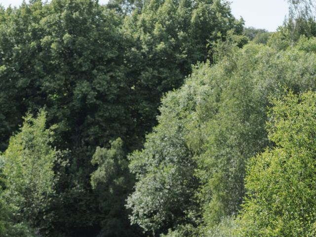 Gordon and Kara's Wedding in Tonbridge, Kent 32