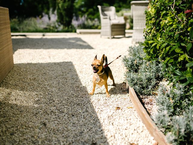 Charles and Shana&apos;s Wedding in Honiton, Devon 14