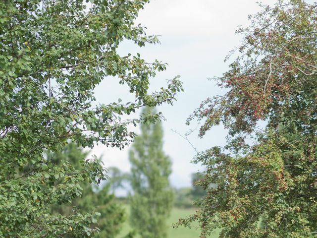 Rheanna and Alex&apos;s Wedding in Shearsby, Leicestershire 36