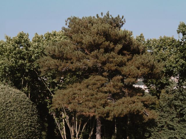 Curtis and Eleonora's Wedding in Rome, Rome 73