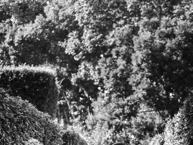 Curtis and Eleonora's Wedding in Rome, Rome 99