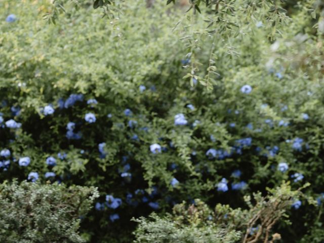 Curtis and Eleonora's Wedding in Rome, Rome 117