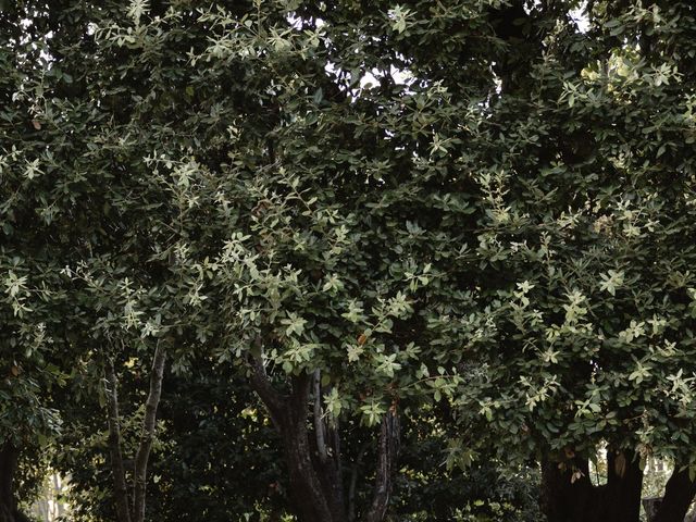 Curtis and Eleonora's Wedding in Rome, Rome 134