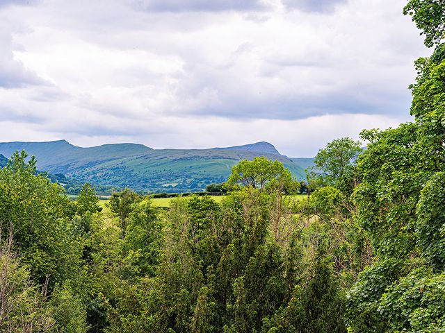 Darren and Liz&apos;s Wedding in Brecon, Powys 270