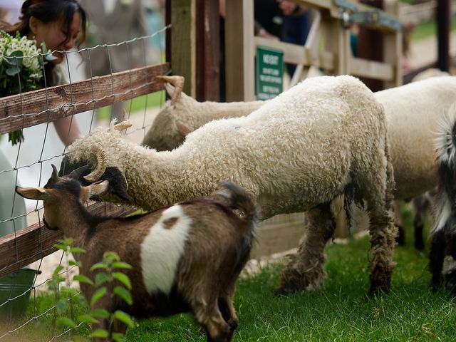 Ollie and Franchezka's Wedding in Bridport, Dorset 21