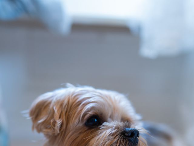 Mark and Lauren's Wedding in Diss, Norfolk 23