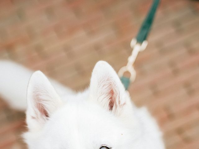 Craig and Jessica's Wedding in Newbury, Berkshire 59