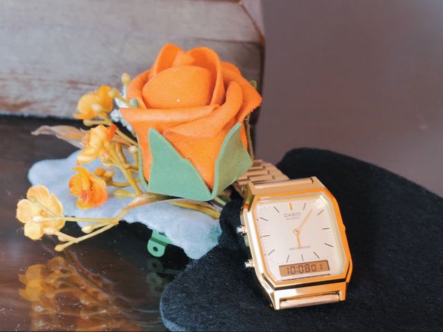 Alan and Bernadette's Wedding in Norwich, Norfolk 5